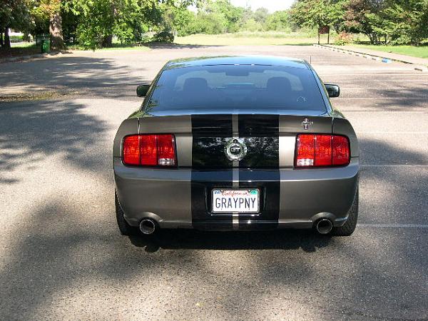 After 2 Years Finally Got Tint~-tint-013.jpg