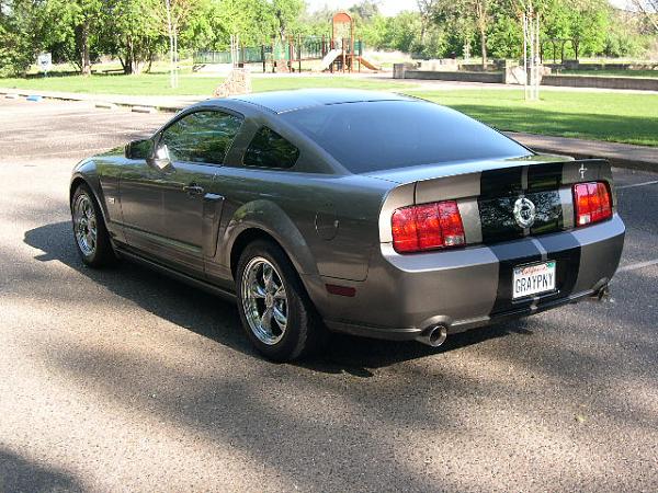 After 2 Years Finally Got Tint~-tint-014.jpg