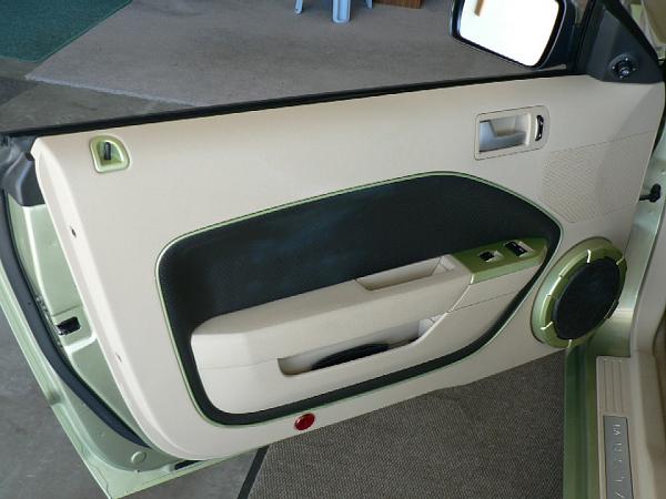 I've got Lime disease!!!-lime-door-r.jpg