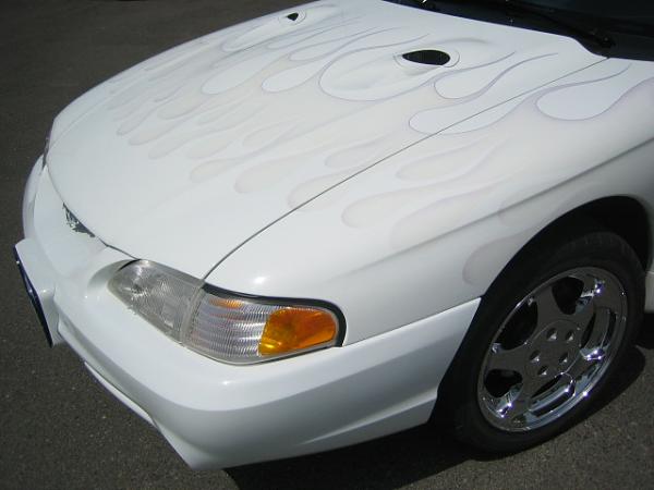 I've got Lime disease!!!-stang5.jpg