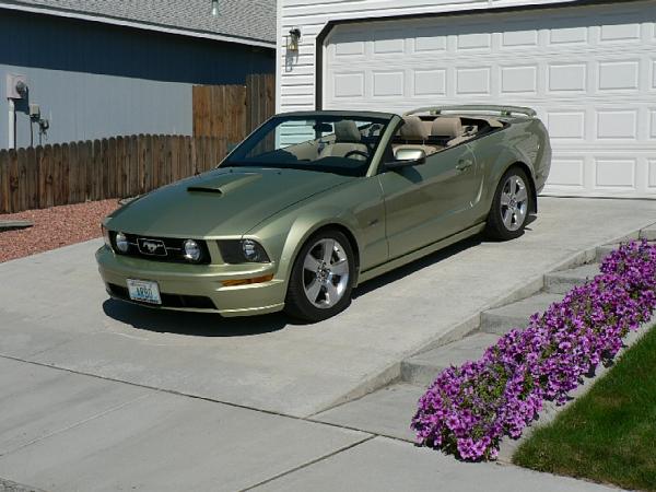 I've got Lime disease!!!-p1020653.rjpg.jpg