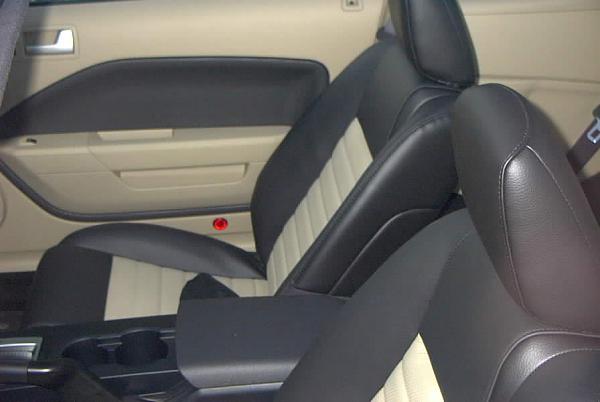 Can ANYONE  Post Photos of 2 TONE Leather Interiors ? ? ? ?  -----pdrm0016.jpg