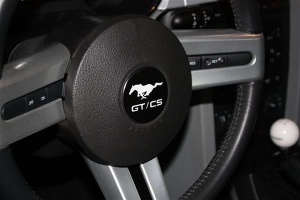 New custom steering wheel emblem-img_0651-small-.jpg