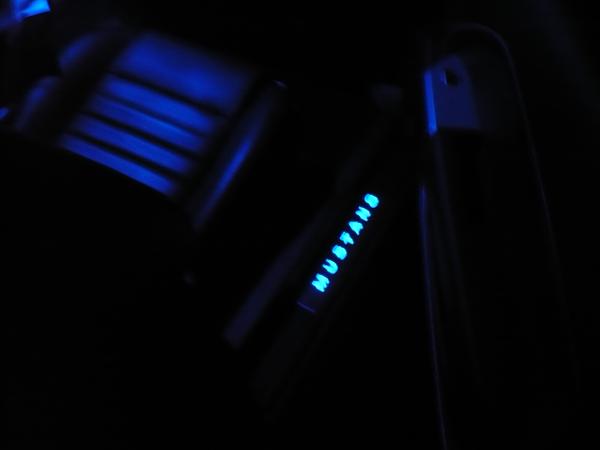 Factory Mustang lighted sill plates?-p1020694.jpg
