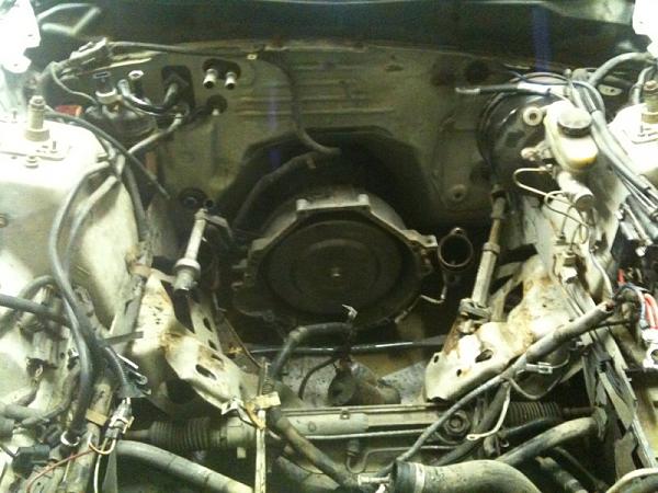 Build is almost done!!!-image-660128901.jpg