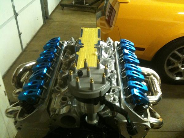 Build is almost done!!!-image-1872131956.jpg