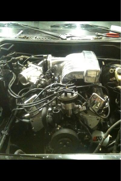 Build is almost done!!!-image-3836164626.jpg