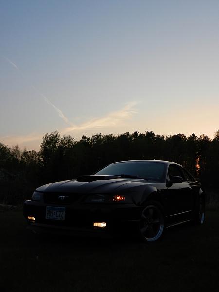 Nathan's 2002 GT-dscn9195-1.jpg