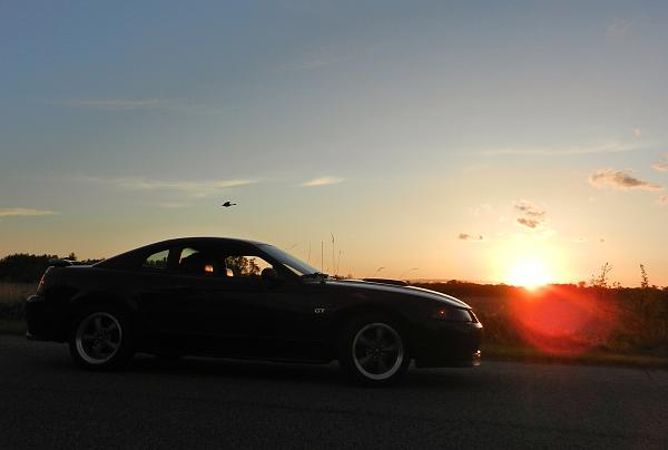 Nathan's 2002 GT-dscn9318.jpg