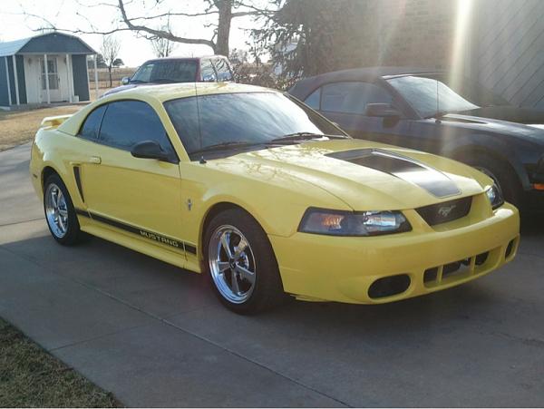 What makes your' sn95 unique?-image-919034895.jpg