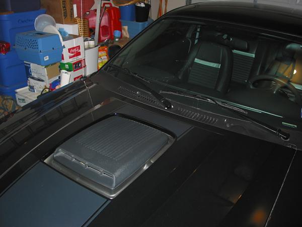 Evil_Capri's 2004 Mach 1-image-1685892724.jpg