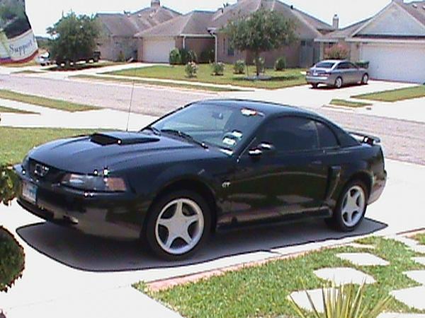 Evil_Capri's 2004 Mach 1-image-2594497510.jpg