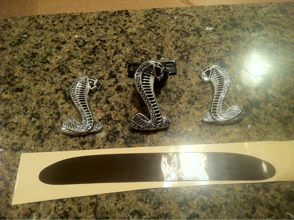 Dakota's cobra-image-3654855128.jpg