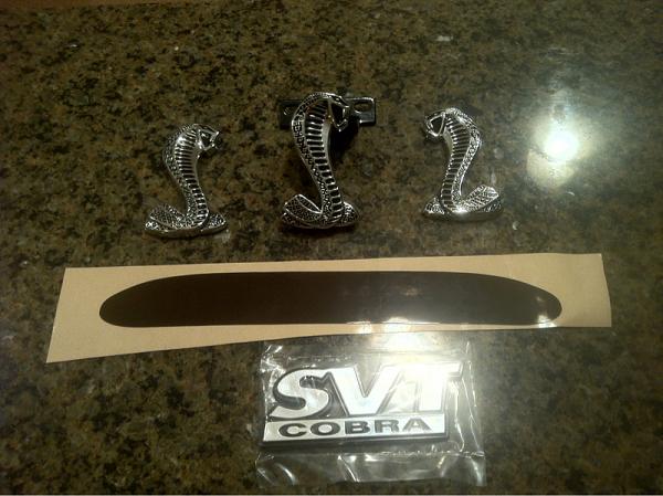 Dakota's cobra-image-2442611193.jpg