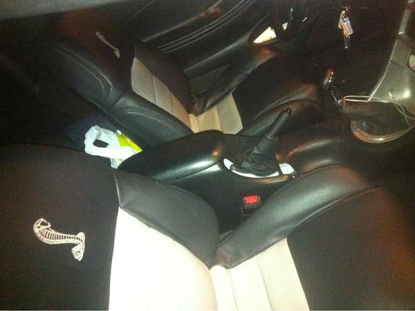 Dakota's cobra-image-3163506120.jpg