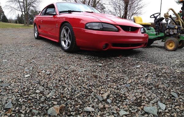 My 97 cobra-image-2657436451.jpg