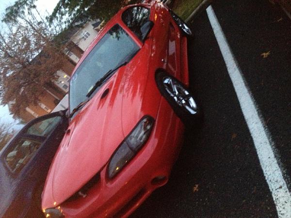 My 97 cobra-image-3378683122.jpg