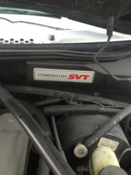 My 95 gt build/progress-image-781726922.jpg