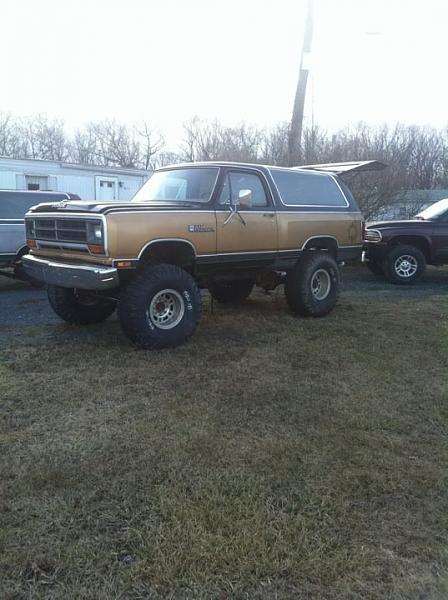 Stephen's 1999 and 1995 Mustang thread-image-3787623597.jpg