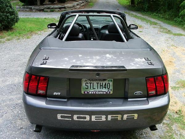Cobra Spoiler-100_0565_1024.jpg