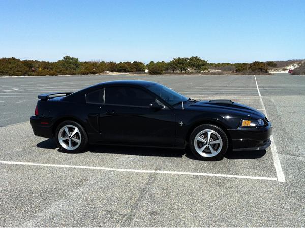 2003-2004 Mach 1-image-3596150418.jpg