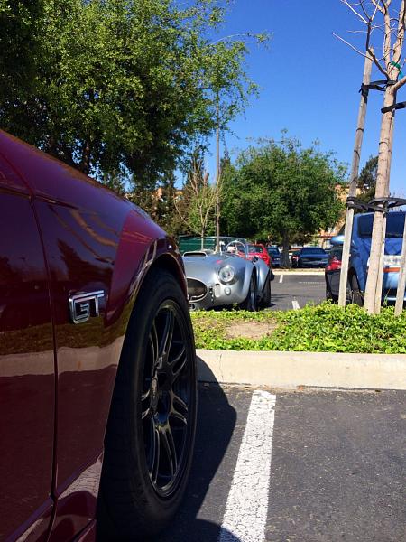 Patrick's 2003 GT-image-1612416767.jpg