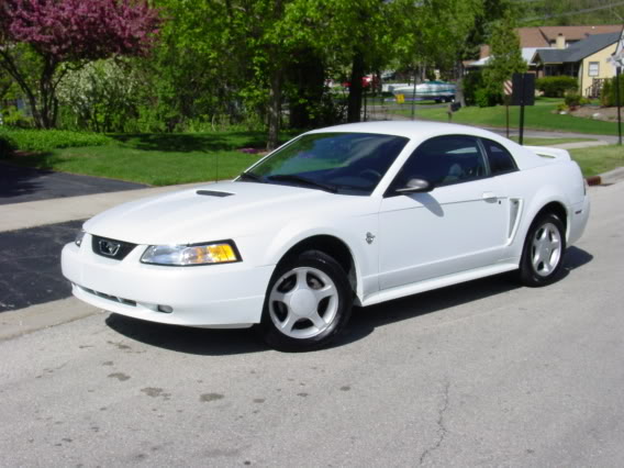 Name:  DSC00298.jpg
Views: 36
Size:  49.5 KB