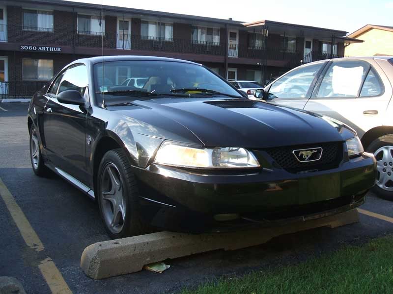 Name:  must01.jpg
Views: 33
Size:  48.7 KB