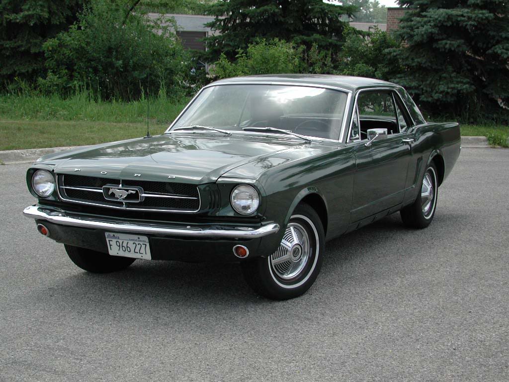 Name:  DSCN5761.jpg
Views: 37
Size:  137.9 KB