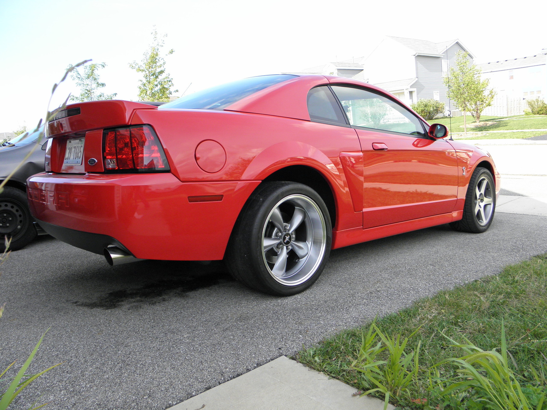 Name:  P8160086.jpg
Views: 86
Size:  1,004.3 KB