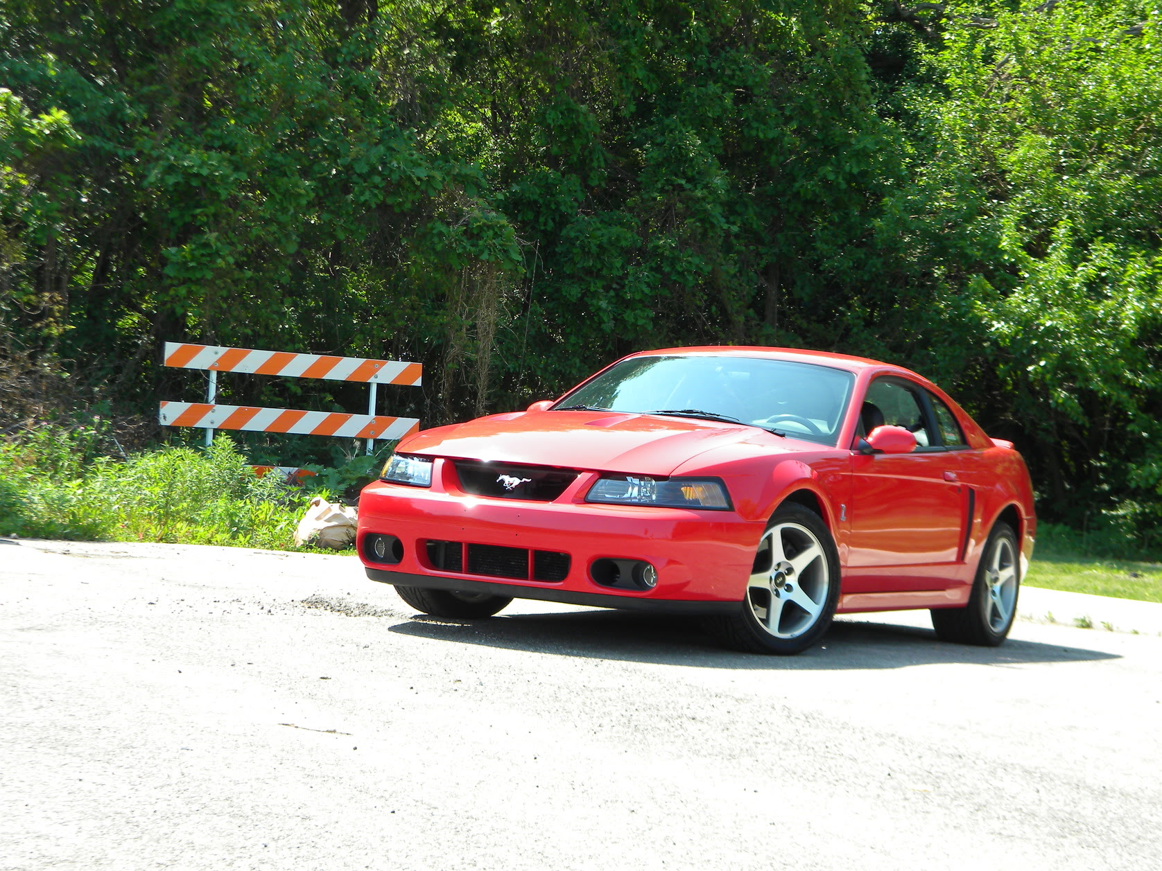 Name:  DSCN7425.jpg
Views: 24
Size:  607.3 KB