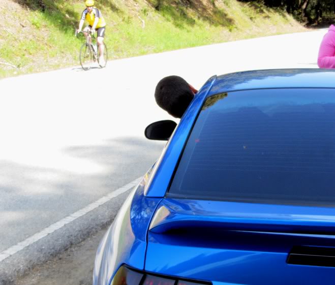 Name:  peterdukesofhazzard.jpg
Views: 33
Size:  48.6 KB