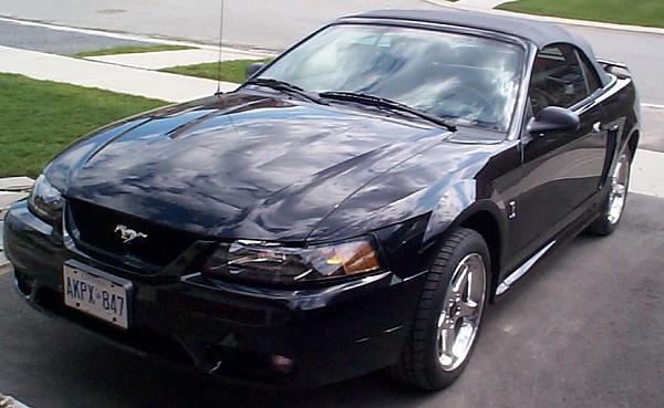 Members Rides SN95 1994-2004 Archive With Pics!-2001svt.jpg