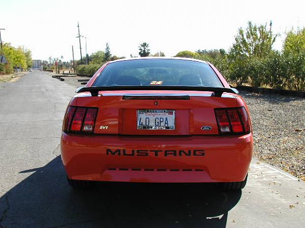 Members Rides SN95 1994-2004 Archive With Pics!-final-series-small3.jpg