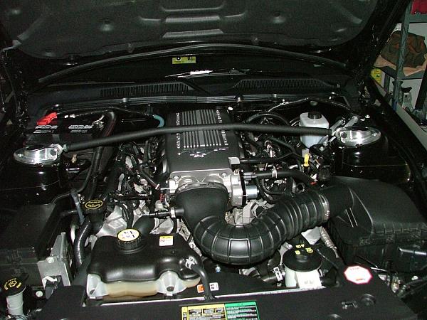 Hood Struts-strut-bar-001.jpg