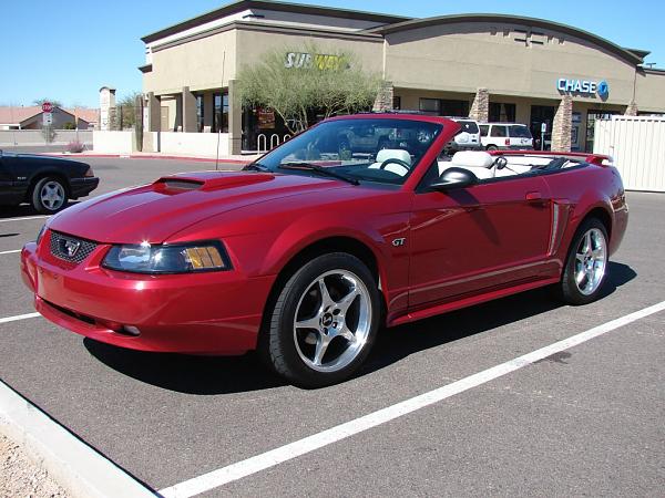 Members Rides SN95 1994-2004 Archive With Pics!-01-gt-convertible-003.jpg