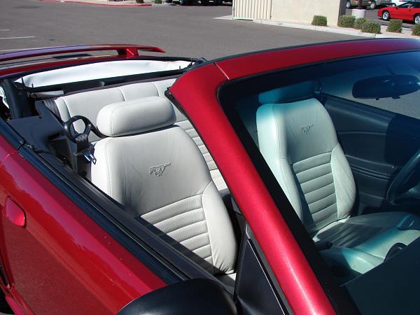 Members Rides SN95 1994-2004 Archive With Pics!-01-gt-convertible-010.jpg