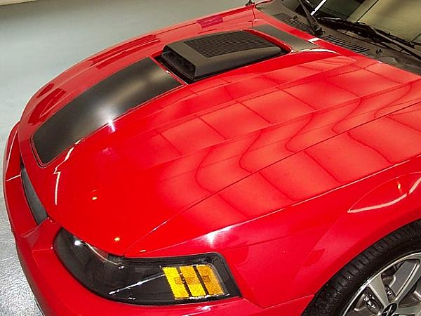 Stock GT Hood.-shakerhood.jpg