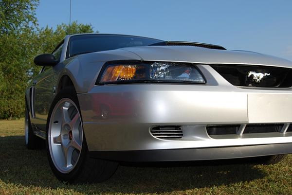 Took a few pics today-randoncarpics-077.jpg