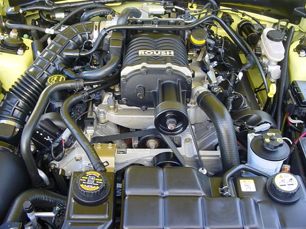 Show Off Your Engine Bay/Interior!-roush-jennings-010.jpg