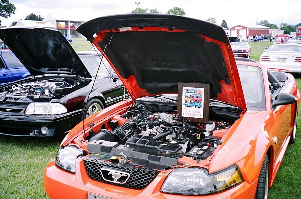 Show Off Your Engine Bay/Interior!-engine-bay.jpg
