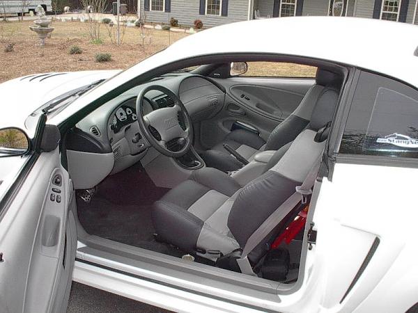 Pics of your interiors-natasha-026.jpg