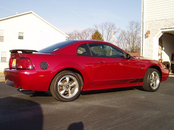 Ready For Show!-p1010072.jpg