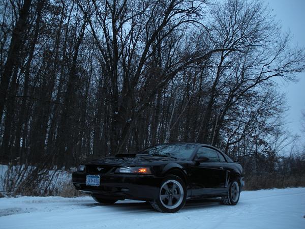 Nathan's 2002 GT-007-4.jpg