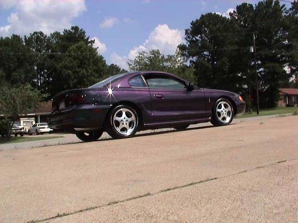 Going wingless!-dsc00307.jpg