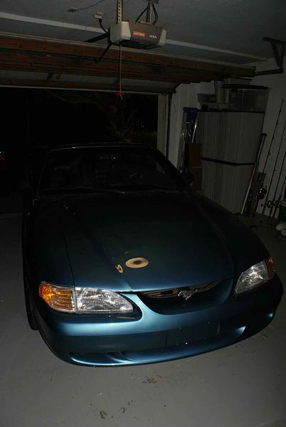 New member 1995 Mustang GTS 5.0-322648_2708615521257_1432908645_32958661_875546940_o.jpg