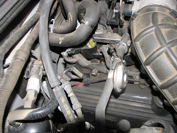 Coolant system-img_6525.jpg