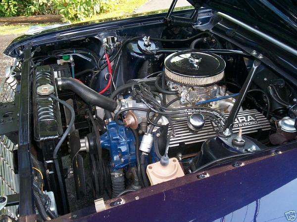 Brother in-law got a '64 Fairlane-engine.jpg