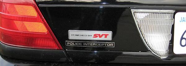 Killed one Panther and Got Another! My P71 Crown Vic Police Interceptor-policeinterceptor-010.jpg