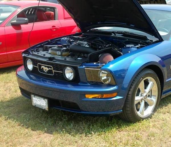 Finally A Factory Ford License Bracket!-front-hood-up.jpg